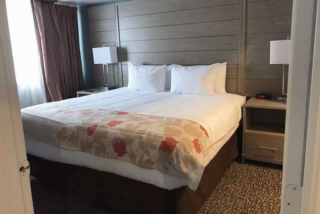 Hawthorn Suites By Wyndham Kent, Wa Rum bild
